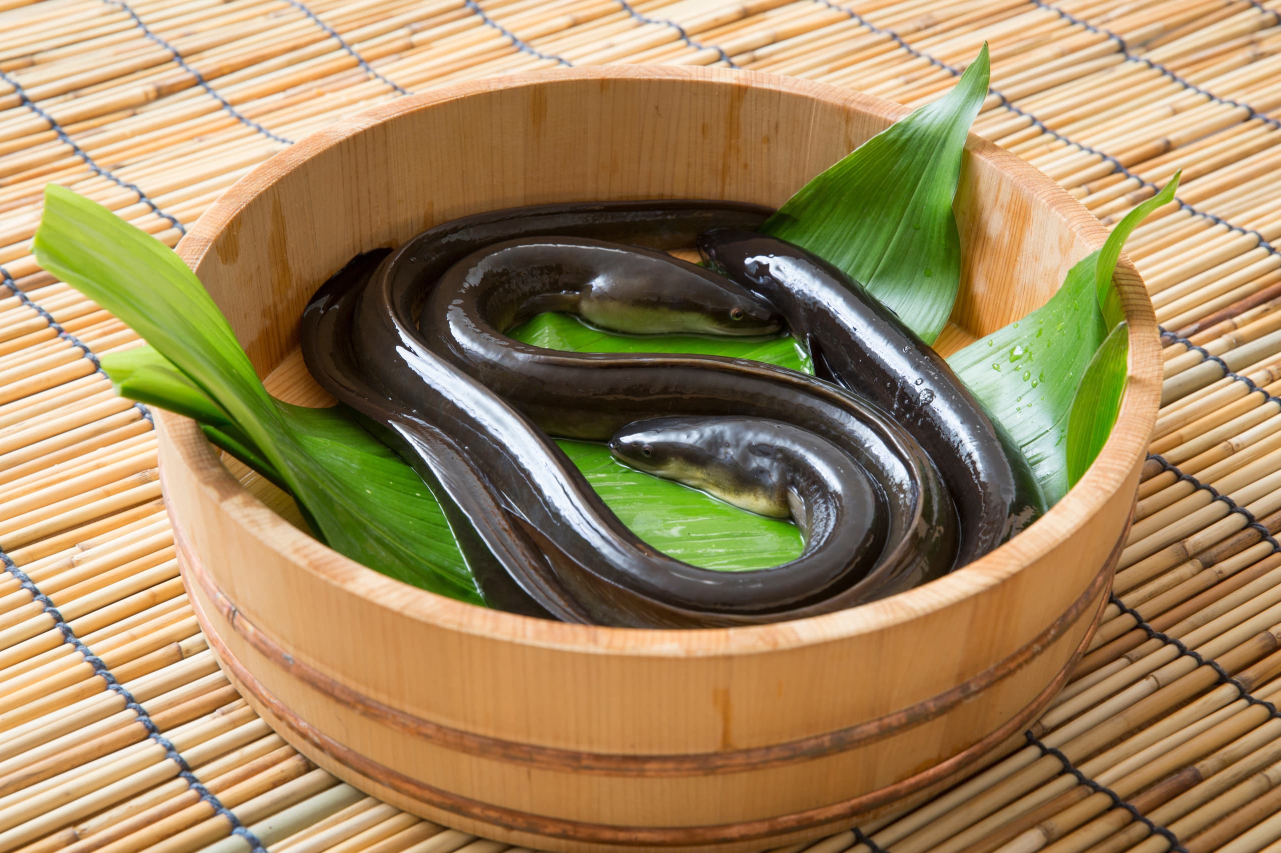 adobestock_276047497.jpg