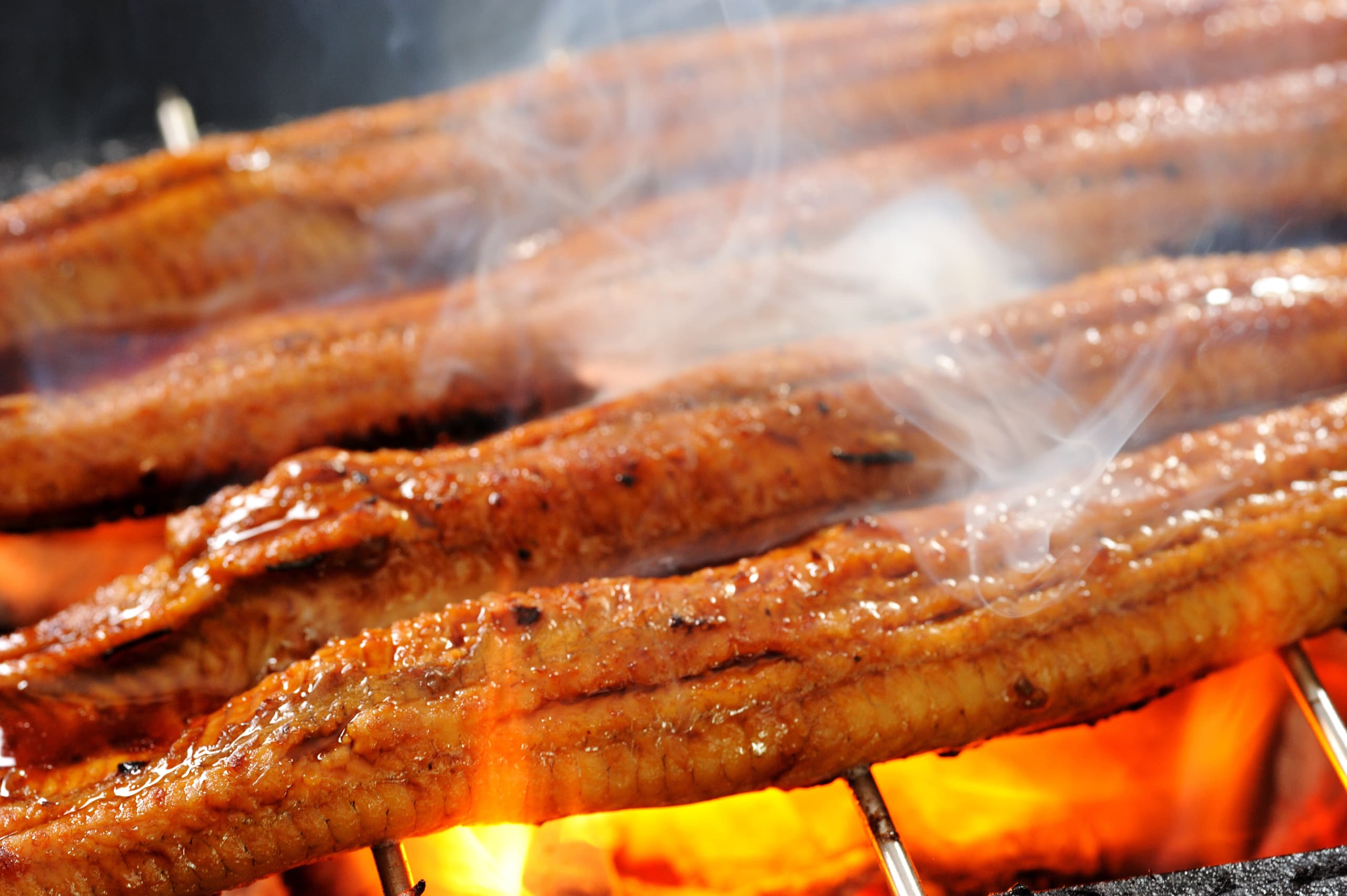 adobestock_41170218.jpg